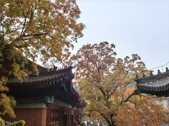 -香山公园