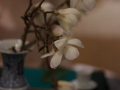 -觉茶道(玉兰花园东三区店)