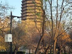 -玲珑塔公园