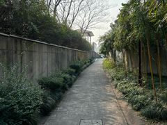 -观潮胜地公园
