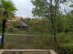 -咸宁万豪温泉谷度假区