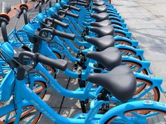 -东方体育中心(地铁站)