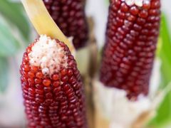 -翁暖茶馆(滨江东总店)