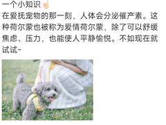 -美联众合动物医院(·中兽医·疑难杂症·严家桥分院)