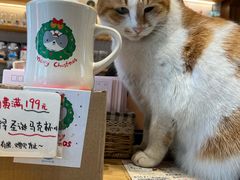 -猫的天空之城概念书店(苏州平江店)