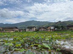 -福建土楼（南靖）云水谣景区-和贵楼