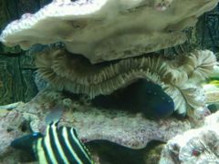 -北戴河圣蓝海洋公园