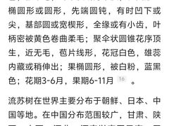 -泰丰公园