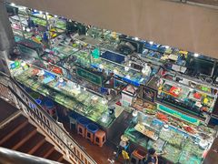 -班赞海鲜市场