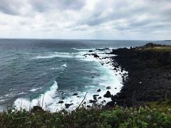 -涉地可支