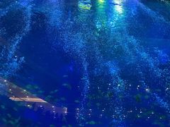 -成都浩海立方海洋公园