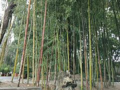 -水绘园