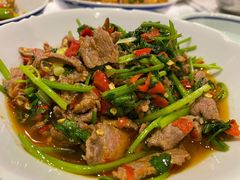 香菜炒牛肉-壹盏灯(惠农店)