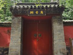 -北京上方山国家森林公园