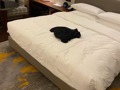 -杭州君悦酒店