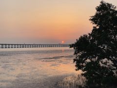 -宝安西湾红树林湿地公园