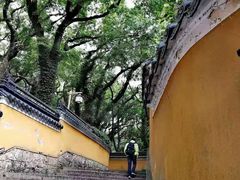 -普陀山风景名胜区-法雨禅寺