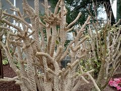 -南通洲际绿博园