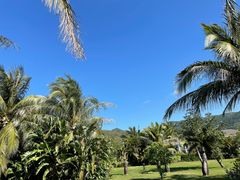 -三亚亚龙湾金棕榈度假酒店