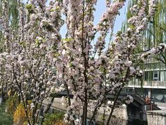 -元大都城垣遗址公园