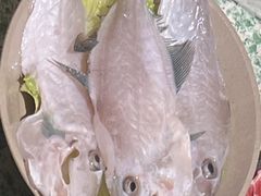 蓝尾耗儿鱼-五里关火锅(牛市口店)