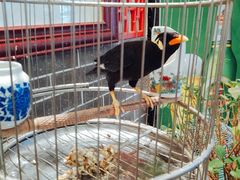 -五悦北平四季涮肉·烧烤(老商埠店)