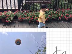 -呀诺达热带雨林