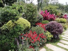 -东莞植物园