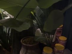 -涟LIAN·泰式按摩·MASSAGE·SPA(华强北店)
