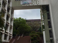 -香港大学