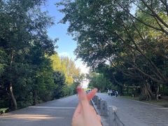 -大梅沙海滨公园-停车场