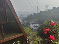 -巴倒烫陆派火锅山庄(南山总店)