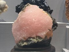 -湖南省地质博物馆