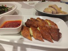 -老吉士酒家(天平路店)