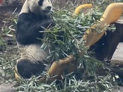 -石家庄市动物园