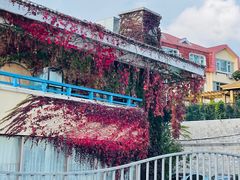-八大关景区