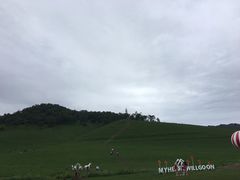 -关山草原