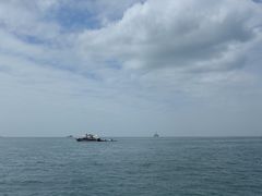 -小猫钓鱼海钓俱乐部(椰梦长廊店)