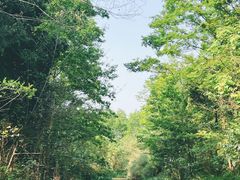 -桤木河湿地公园