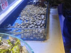 -聚盛源蒸汽海鲜火锅烤肉自助(巨川金海岸购物广场店)