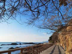 -青岛海滨风景区
