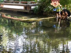 -成都市活水公园