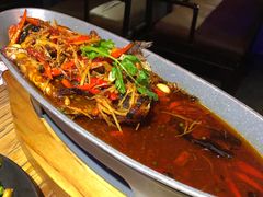 -听香·678茶铺(猛追湾店)