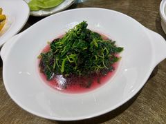 -鹿园 MOOSE(长宁店)