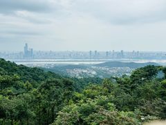 -岳麓山风景名胜区