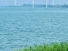 -观澜小洱海