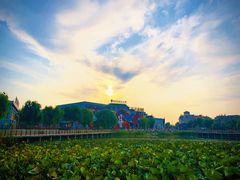 -1970南湖影视基地(建设南路店)