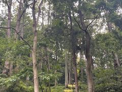 -黔灵山公园