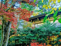 -鹤冈八幡宫