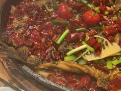 -老板恋上鱼(高新万达店)